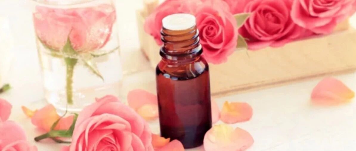 Rose essential oil, the "treasure star" in the skin care industry